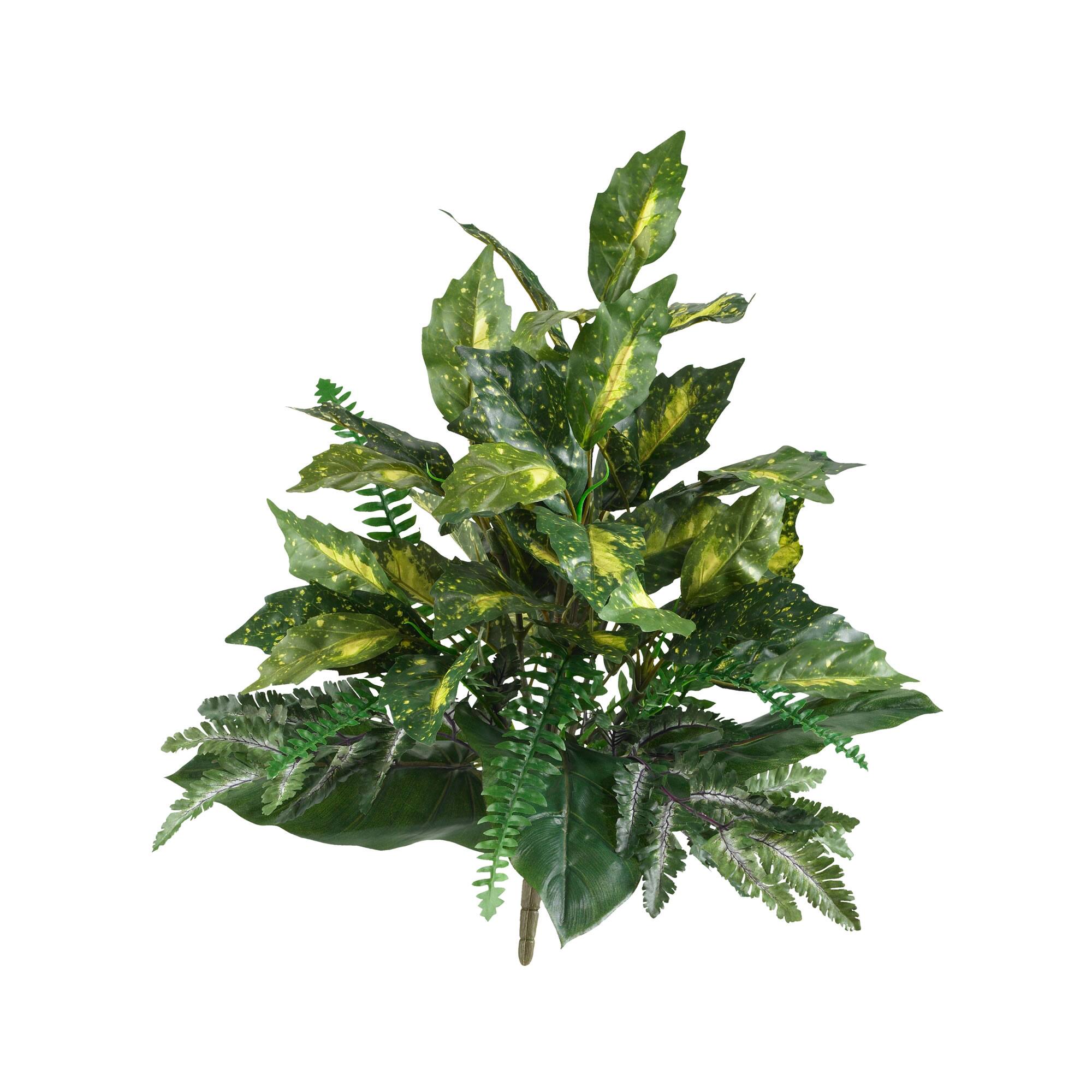 Mixed Greens Plants, 2ct.